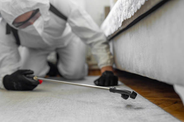 Professional Bed Bug Control technician working in Loveland Park, OH