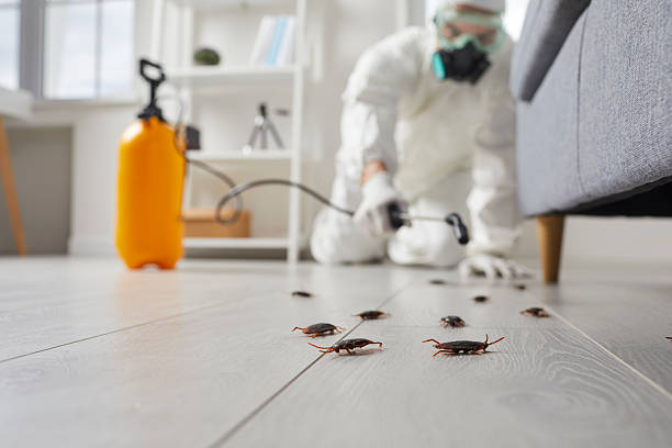 Trusted Fumigation Services service in Loveland Park, OH - Nex Pest Control
