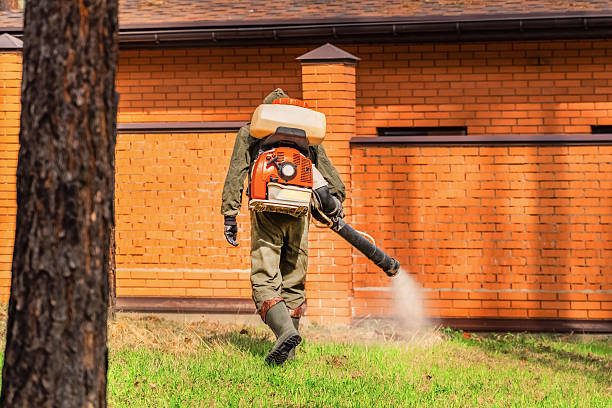Trusted Termite Control service in Loveland Park, OH - Nex Pest Control